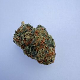 IMG_0032